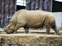 Ảnh bìa bài viết 842156