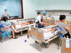 Ảnh bìa bài viết 842442
