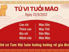 Ảnh bìa bài viết 842296