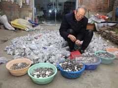 Ảnh bìa bài viết 842645