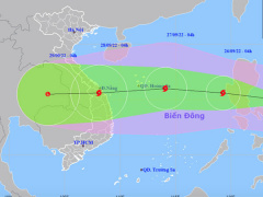 Ảnh bìa bài viết 842741