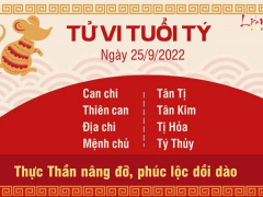 Ảnh bìa bài viết 842726