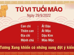 Ảnh bìa bài viết 843321