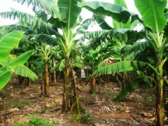 Ảnh bìa bài viết 843483
