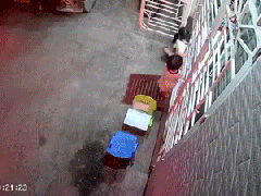 Ảnh bìa bài viết 843507
