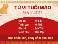 Ảnh bìa bài viết 843865