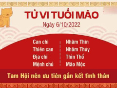 Ảnh bìa bài viết 844366