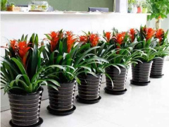 Ảnh bìa bài viết 844682
