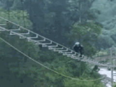 Ảnh bìa bài viết 845080