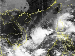 Ảnh bìa bài viết 845410