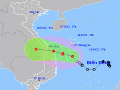 Ảnh bìa bài viết 845647