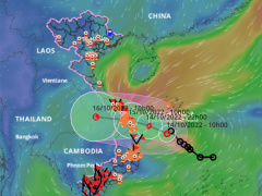 Ảnh bìa bài viết 845665