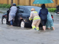 Ảnh bìa bài viết 845714
