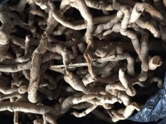 Ảnh bìa bài viết 845849