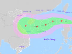Ảnh bìa bài viết 845855