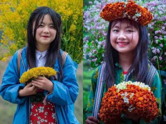 Ảnh bìa bài viết 845756
