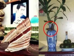 Ảnh bìa bài viết 845744