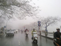 Ảnh bìa bài viết 846497