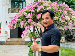 Ảnh bìa bài viết 846648