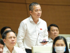Ảnh bìa bài viết 846929
