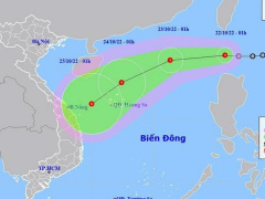 Ảnh bìa bài viết 846863