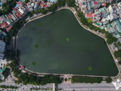 Ảnh bìa bài viết 846926