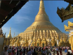 Ảnh bìa bài viết 847229