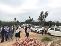 Ảnh bìa bài viết 847393