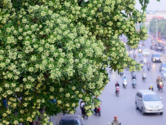 Ảnh bìa bài viết 847505