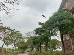 Ảnh bìa bài viết 847838