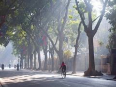 Ảnh bìa bài viết 847920