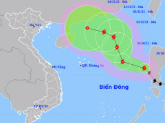 Ảnh bìa bài viết 848041