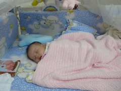Ảnh bìa bài viết 848106