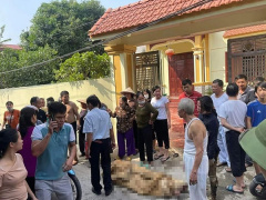 Ảnh bìa bài viết 848129