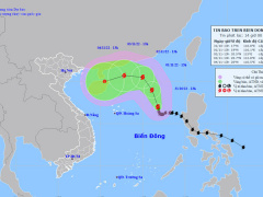 Ảnh bìa bài viết 848281