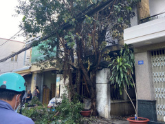 Ảnh bìa bài viết 848555