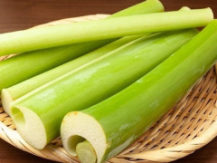 Ảnh bìa bài viết 848839