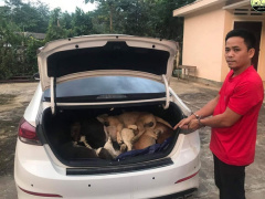 Ảnh bìa bài viết 848783