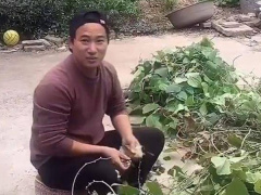 Ảnh bìa bài viết 848951