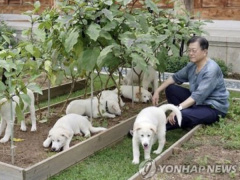Ảnh bìa bài viết 849376