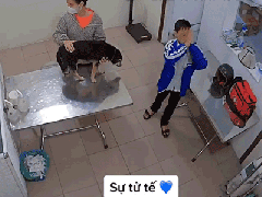 Ảnh bìa bài viết 849520
