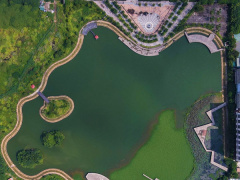 Ảnh bìa bài viết 849580