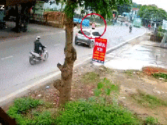Ảnh bìa bài viết 850265