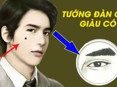 Ảnh bìa bài viết 850293