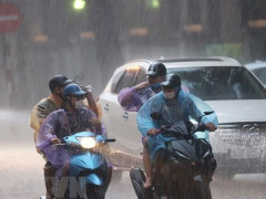 Ảnh bìa bài viết 850454