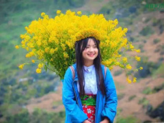 Ảnh bìa bài viết 850498