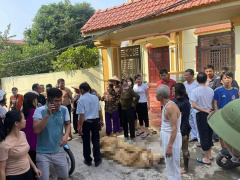Ảnh bìa bài viết 851117