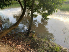 Ảnh bìa bài viết 851211
