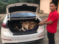 Ảnh bìa bài viết 851124