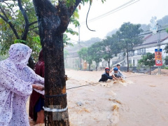 Ảnh bìa bài viết 851331